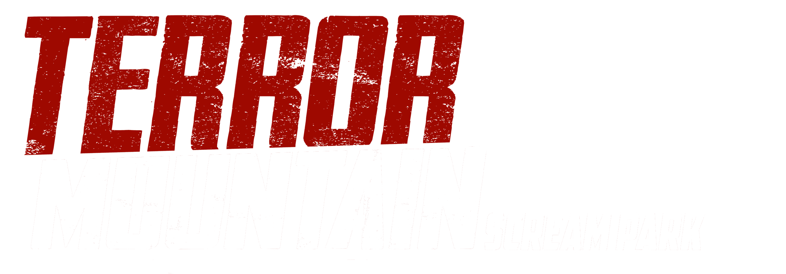 2025 TM slim logo
